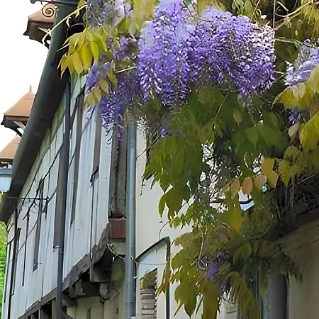 Apartamento L'arquebuse Troyes